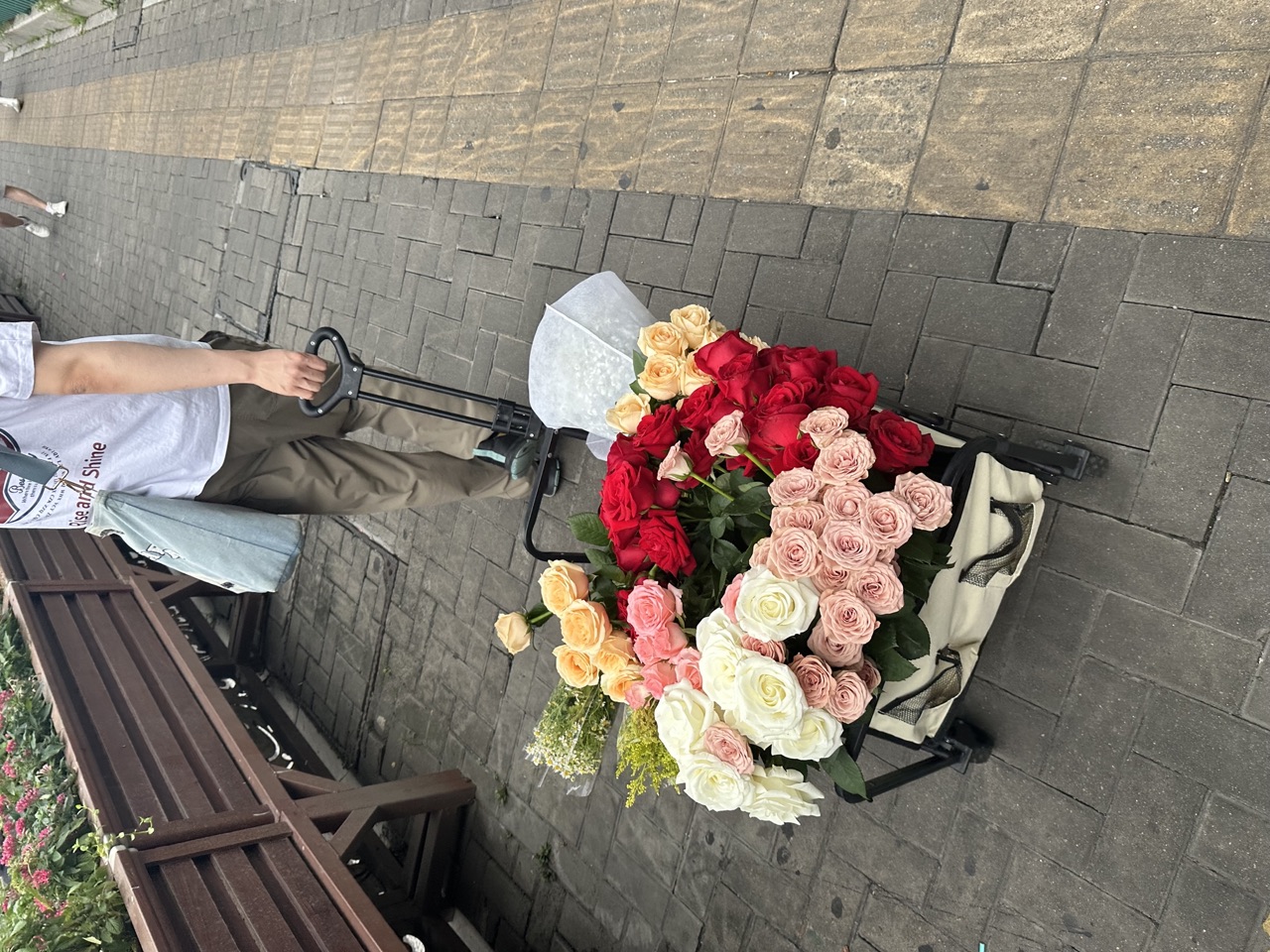 The flower cart in the daytime, roses in every color